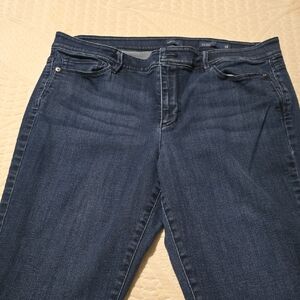 J. Jill Dark Blue Skinny Jeans
